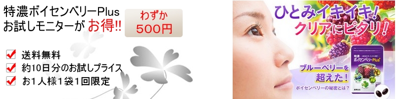 ���Z�{�C�Z���x���[Plus���T�C�g